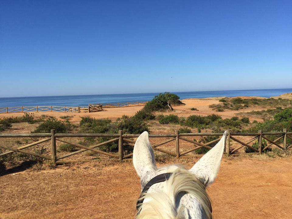 Algarve Coast of Portugal 